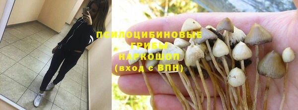 трава Нязепетровск