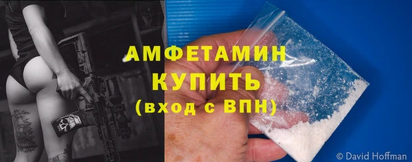 стаф Няндома