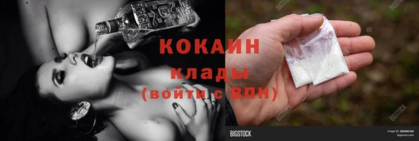 стаф Няндома
