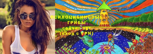 трава Нязепетровск